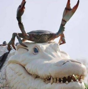 Meet your Posher, Charles